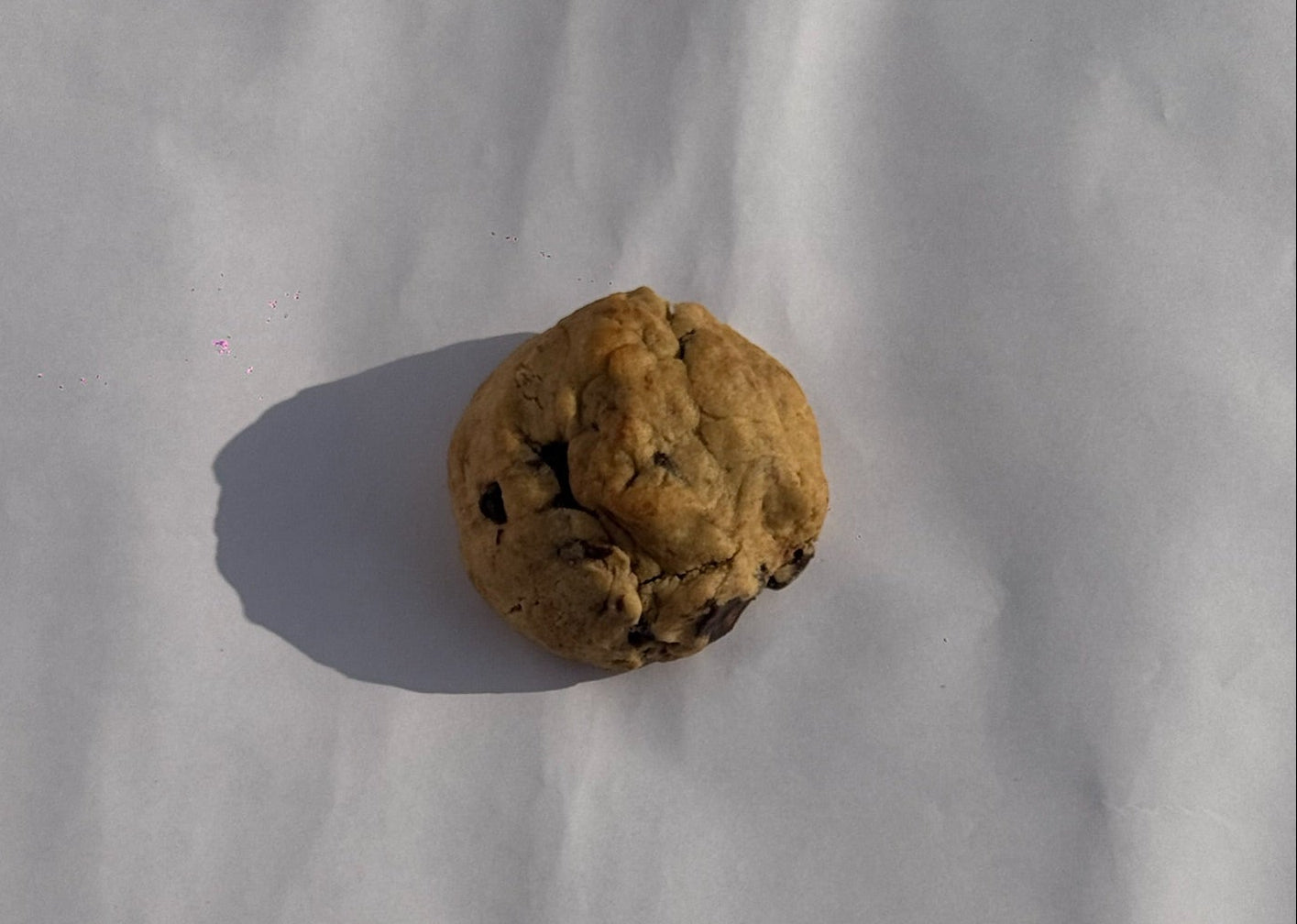 chocochip cookie